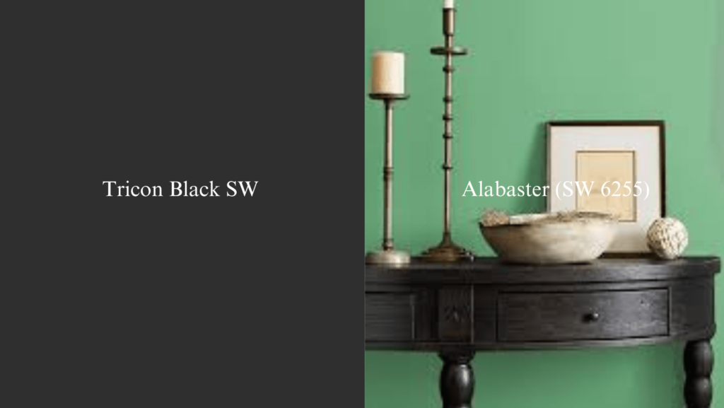 Sherwin Williams Tricorn Black 