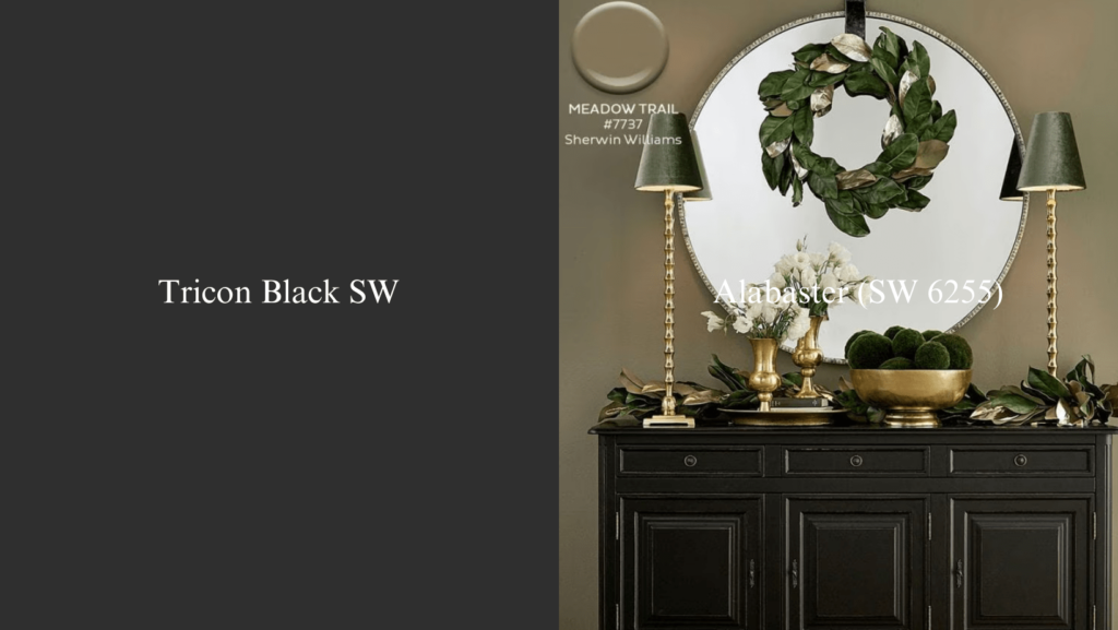 Sherwin Williams Tricorn Black 