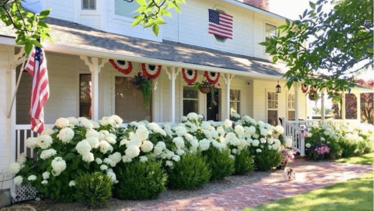 Incrediball vs. Annabelle -Don’t Plant the WRONG Hydrangea!