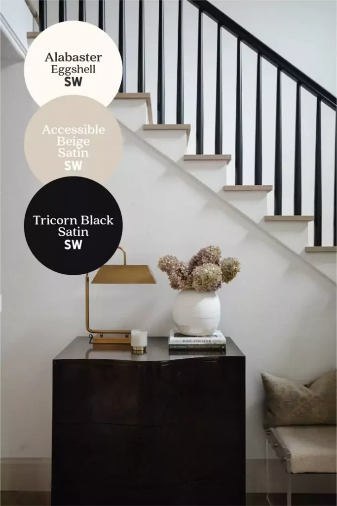 black magic vs triconr black