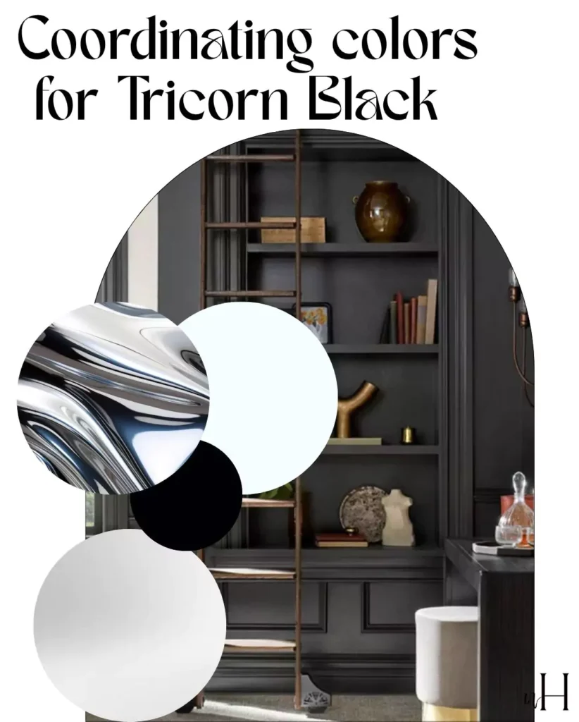 black magic vs triconr black