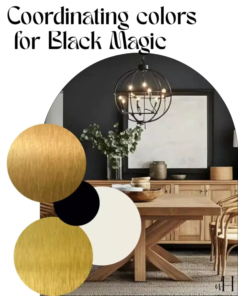 black magic vs triconr black