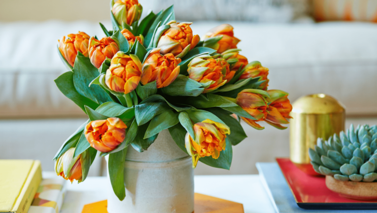 how-to-keep-tulips-alive-in-a-vase