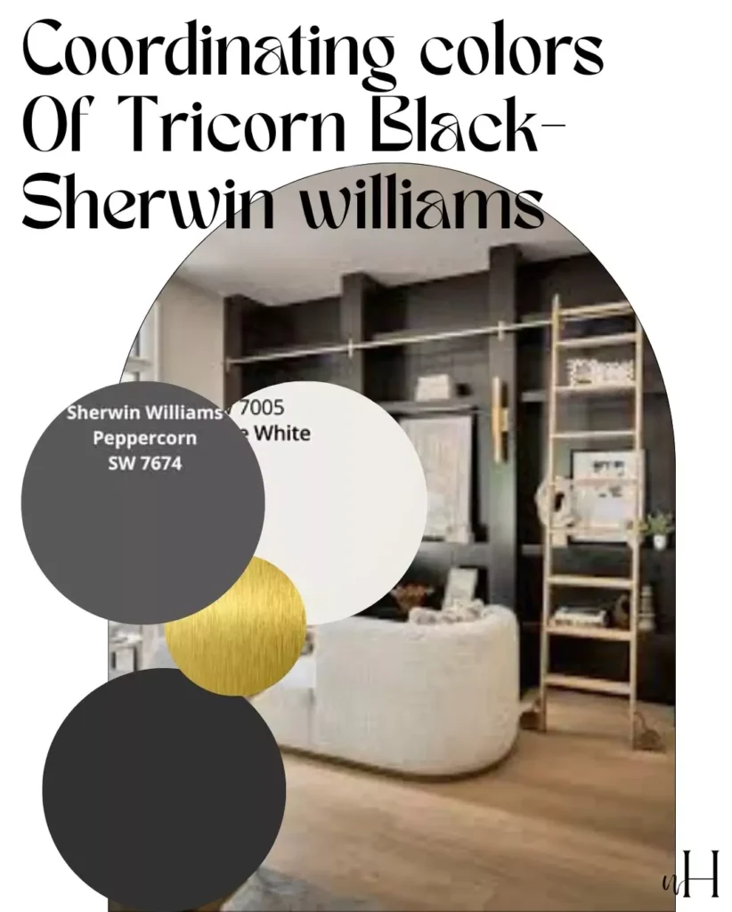 SW iron ore vs tricorn black-Which Is Best For Your Home