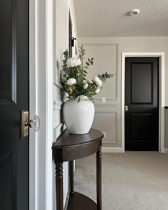 Black Goes Well with Accessible Beige Sherwin Williams