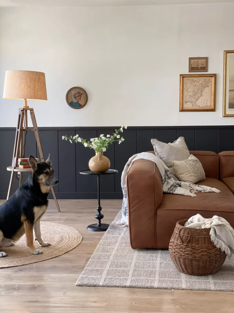 11 Best Swiss Coffee Paint Color That I recommend My Clients