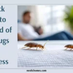 how to get rid of bed bugs on mattress,