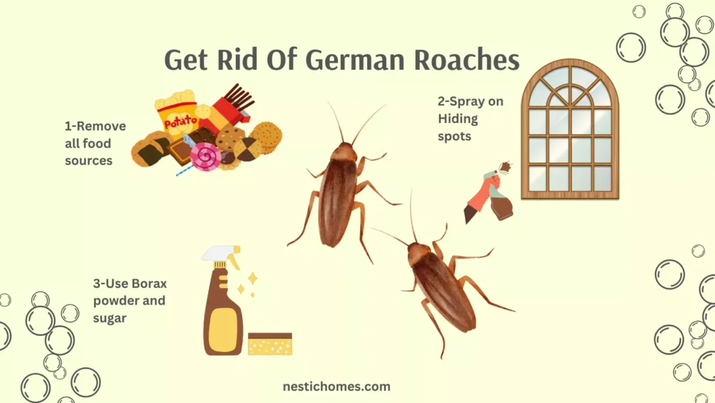 how to get rid of german roaches