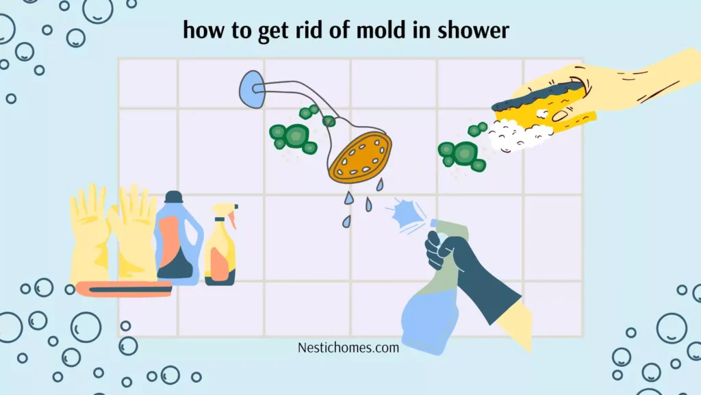 how to et rid of shower mold