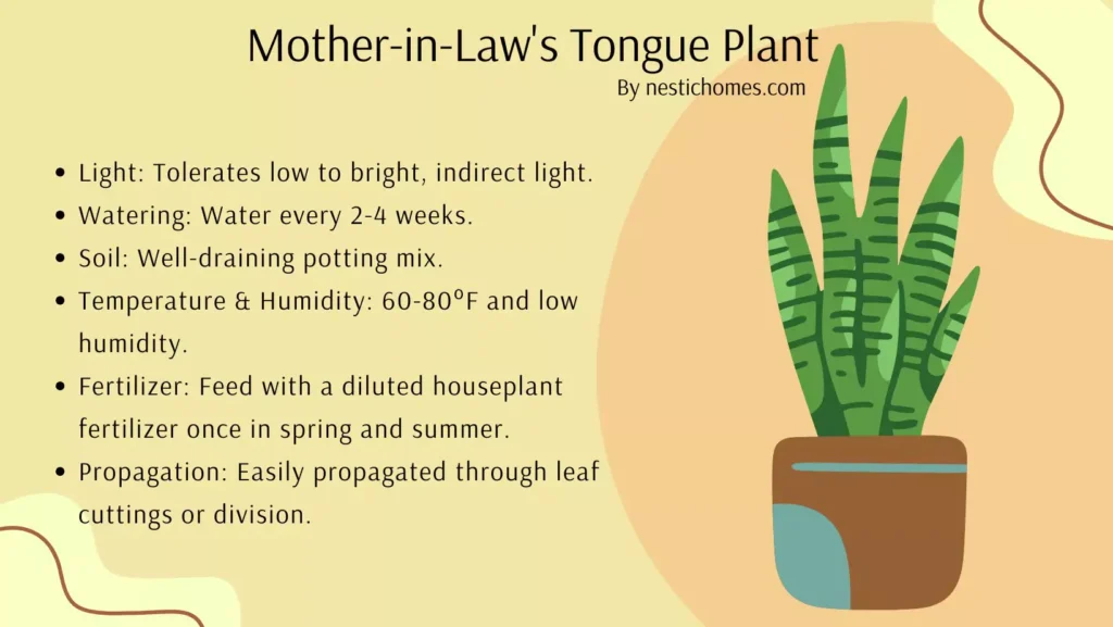 How to Care for a Mother-in-Law’s Tongue Plant