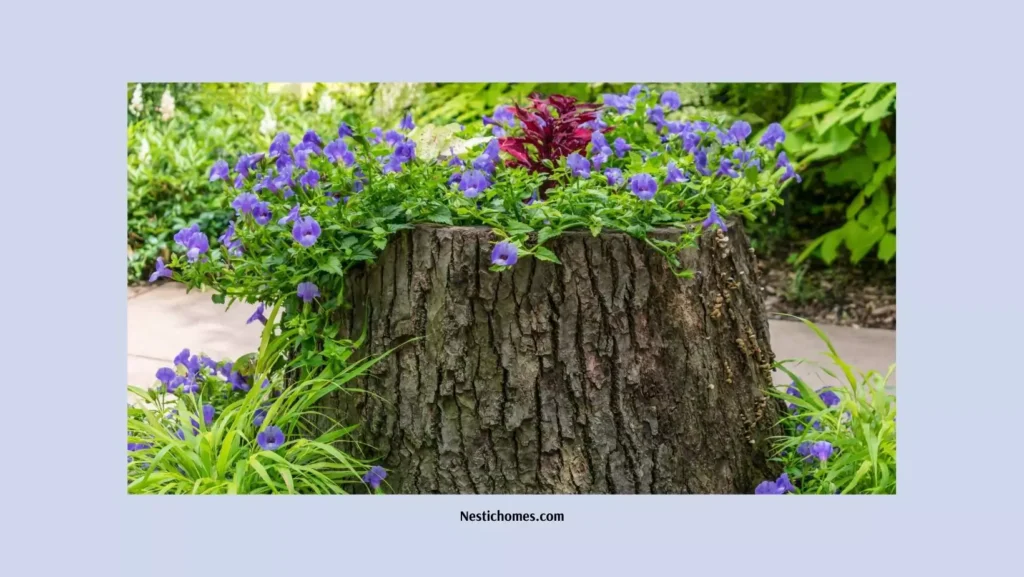 What Can You Plant in a Tree Stump? 18 Timeless Plant Ideas