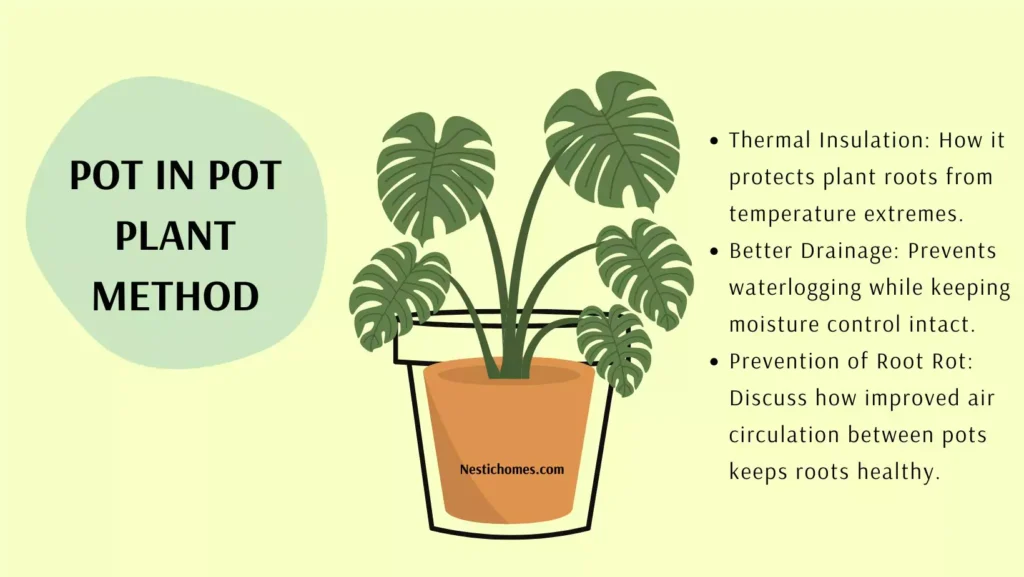 pot-in-pot-plant-method-for-better-growth