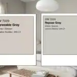 Sherwin Williams Repose Gray vs Agreeable Gray: