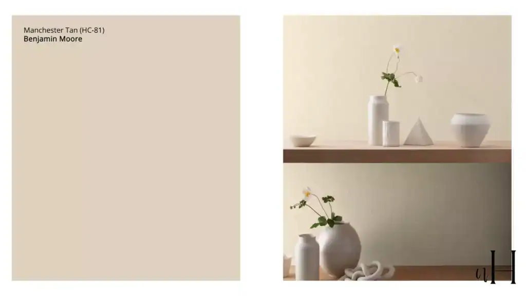 best light beige paint color 6 6832b3b388252home and garden