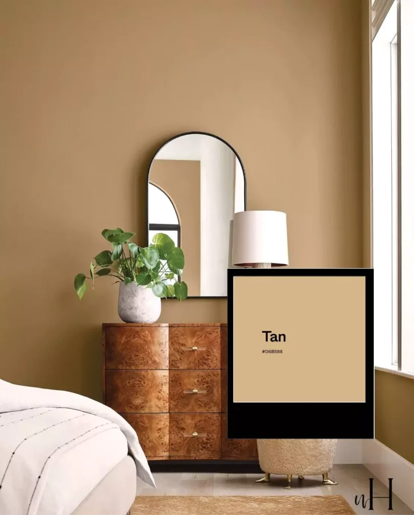 Tan vs Beige