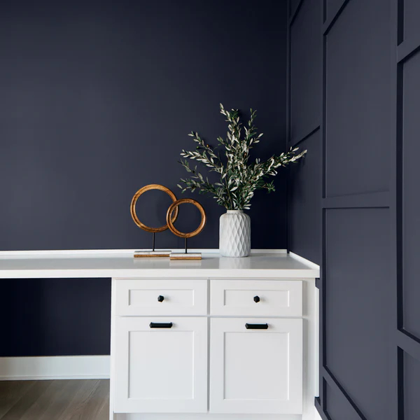 Popular Sherwin-Williams Black Paint Colors
