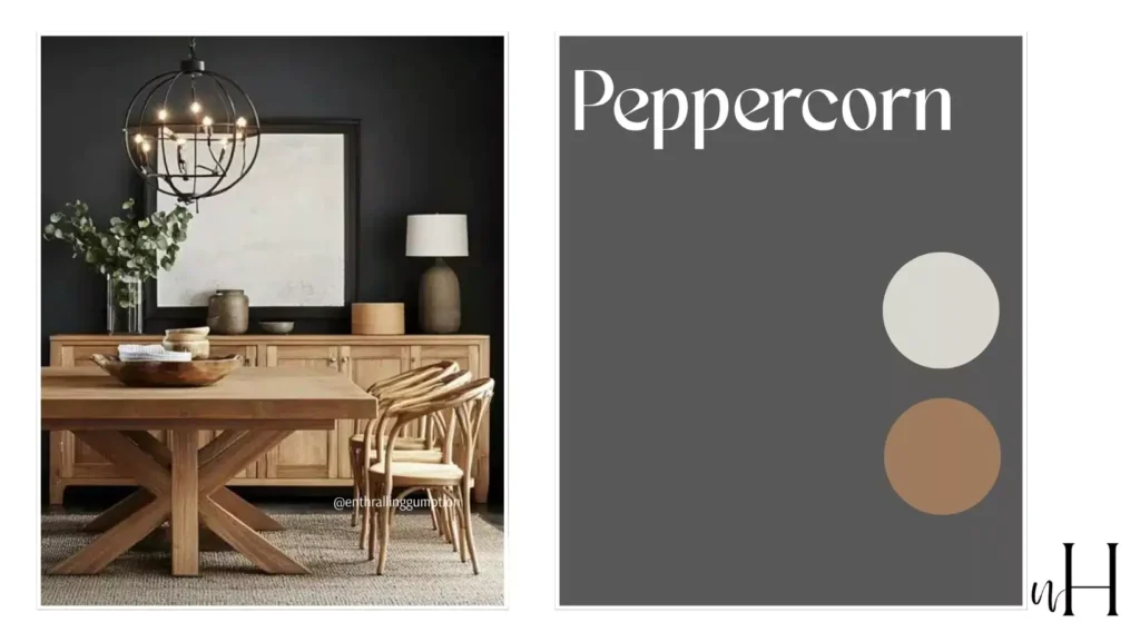 Popular Sherwin-Williams Black Paint Colors