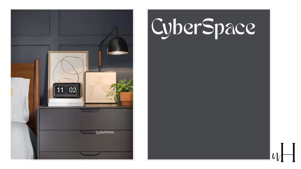 Popular Sherwin-Williams Black Paint Colors