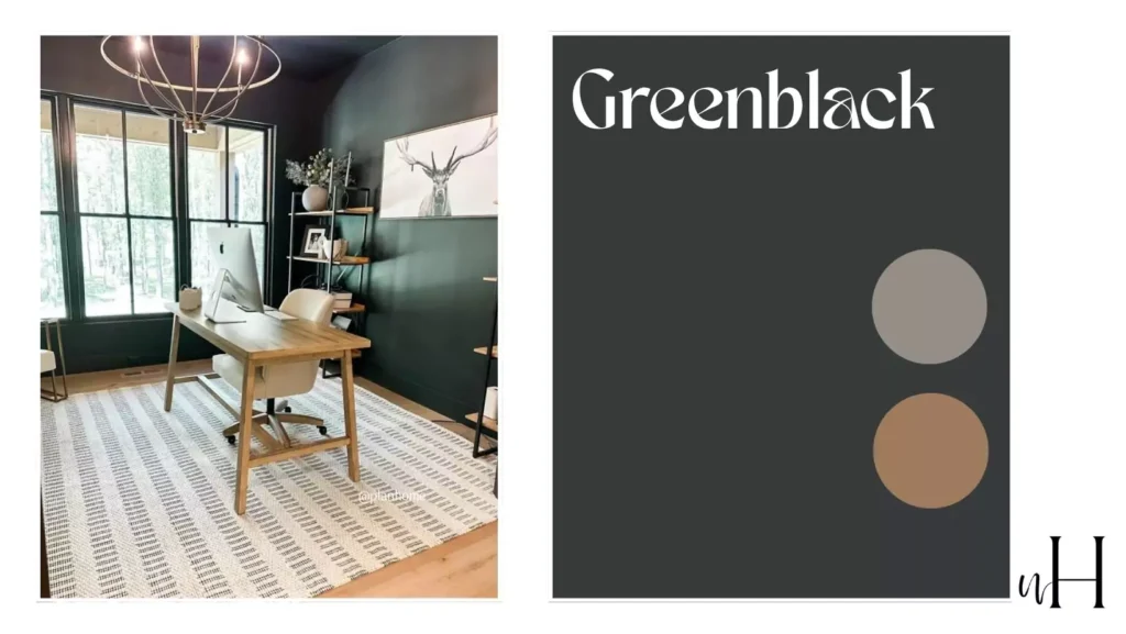 Popular Sherwin-Williams Black Paint Colors
