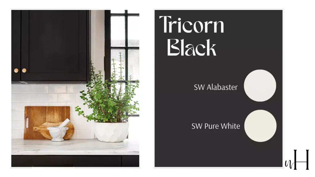 Popular Sherwin-Williams Black Paint Colors