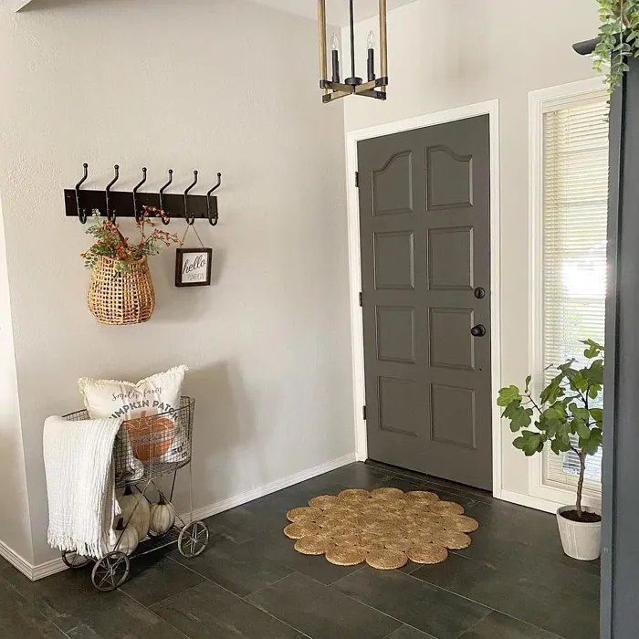  Best Sherwin Williams Beige Colors
