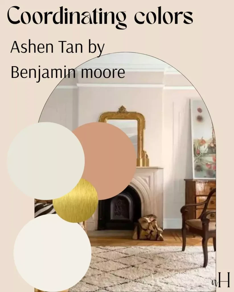 Ashen Tan 996:Benjamin Moore-