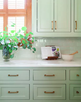 Softened Green (SW 6177) Sherwin Williams– A Comprehensive Guide

