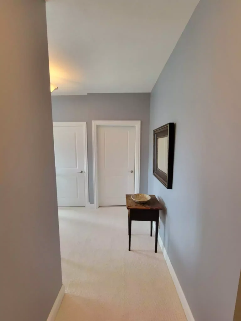 Sherwin Williams Morning Fog (SW 6255)