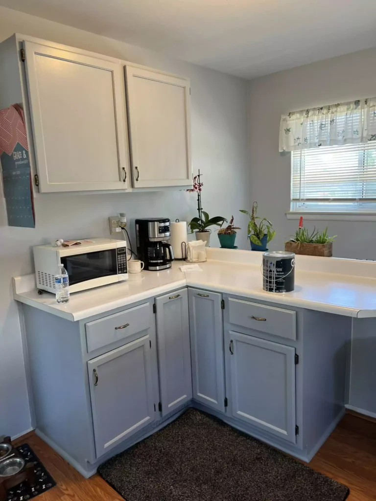 Sherwin Williams Morning Fog (SW 6255)