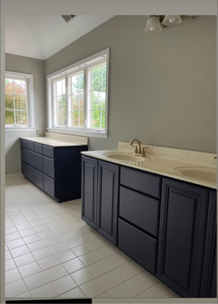 Charcoal Blue SW 2739 Sherwin Williams