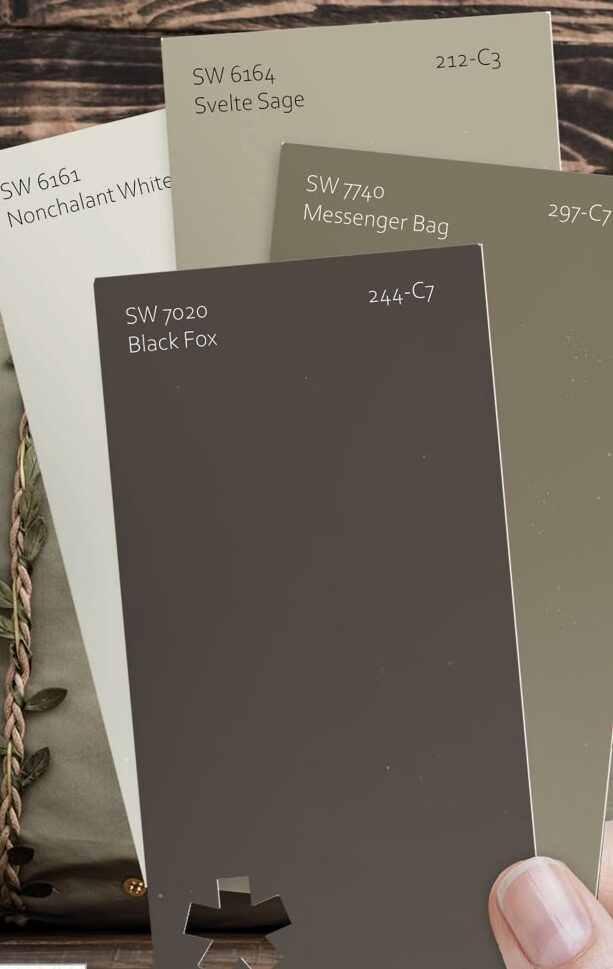 Sherwin Williams Black Fox SW 7020