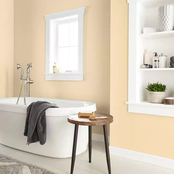 Behr Vanilla Ice Cream P260-3