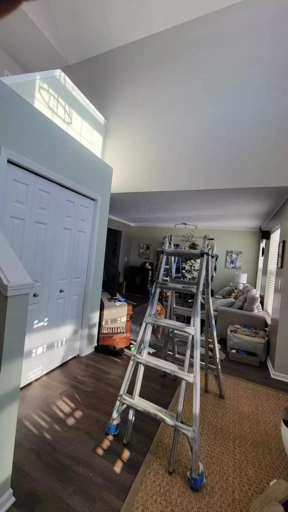 Liveable Green SW 6176 Sherwin Williams