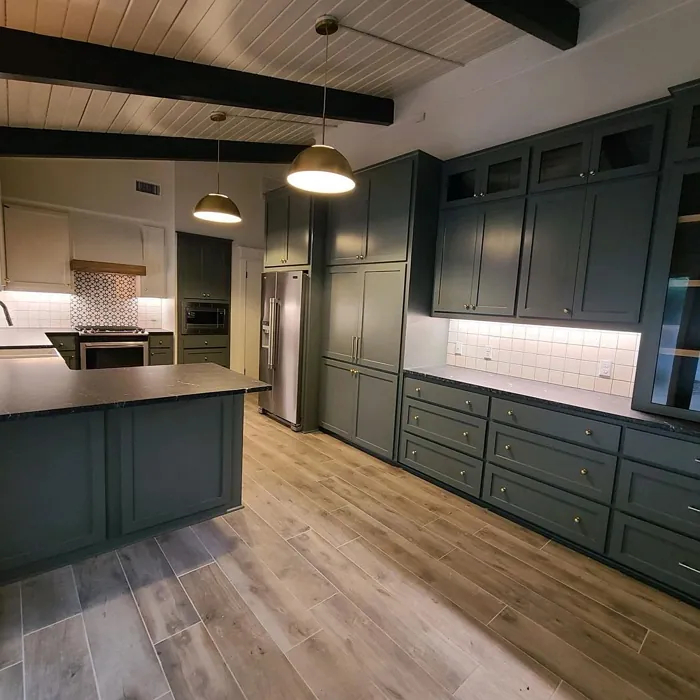 Sherwin-Williams Night Owl (SW 7061)