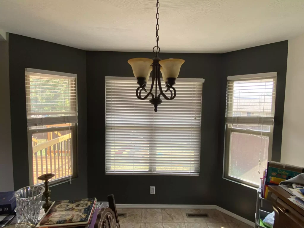 Sherwin-Williams Night Owl (SW 7061)
