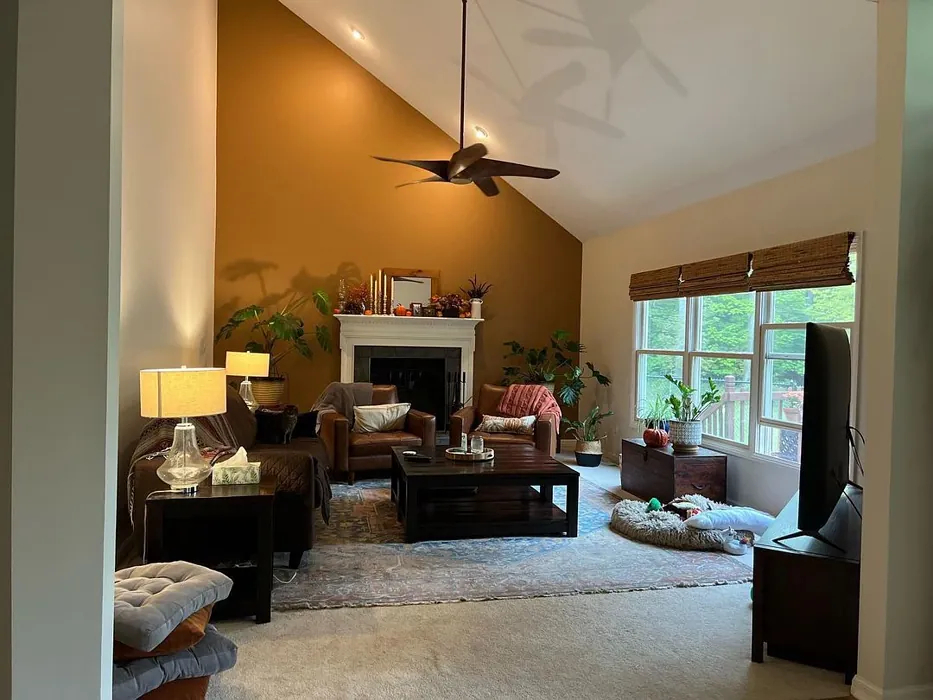 Smokey Topaz SW 6177 Sherwin Williams