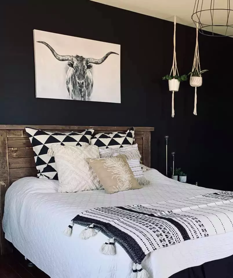 Tricorn Black Sherwin Williams SW 6258

