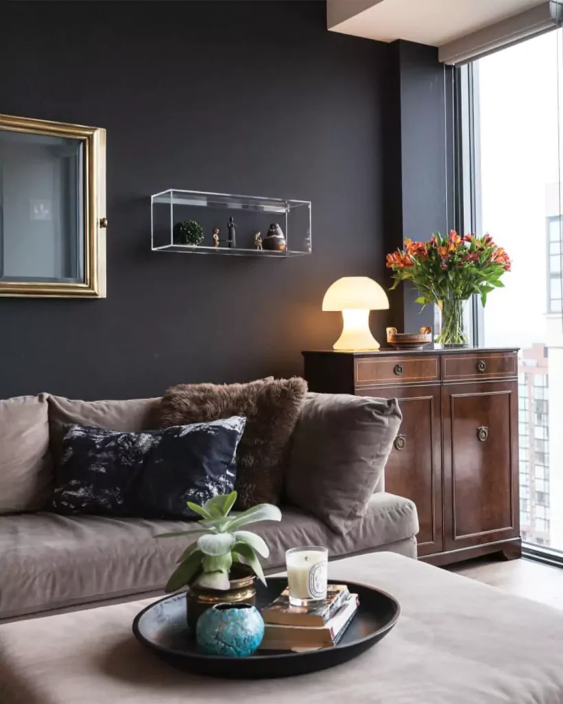 Tricorn Black Sherwin Williams SW 6258

