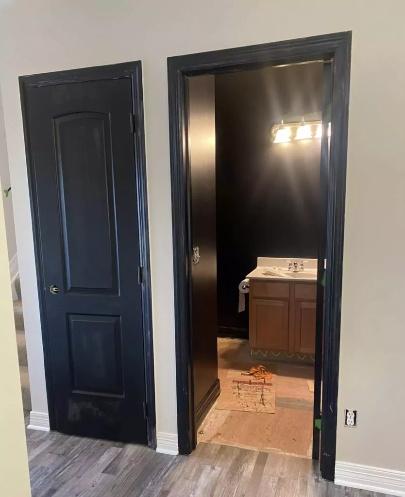 Tricorn Black Sherwin Williams SW 6258

