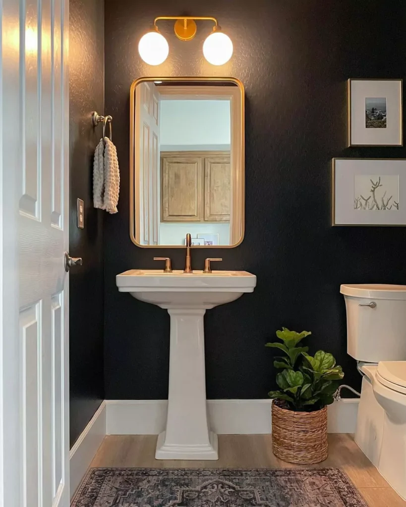 Tricorn Black Sherwin Williams SW 6258

