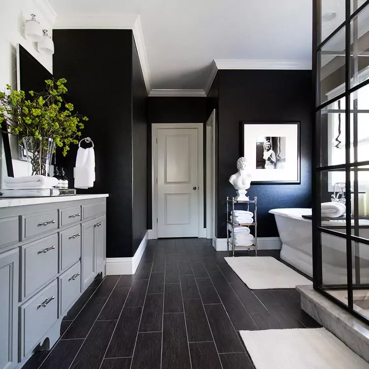 Tricorn Black Sherwin Williams SW 6258

