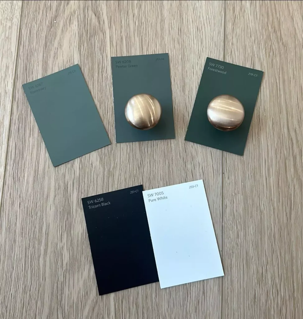 Tricorn Black Sherwin Williams SW 6258

